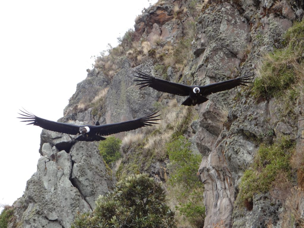 Quito es el destino perfecto para los amantes del turismo de aventura
